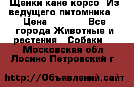 Щенки кане корсо! Из ведущего питомника! › Цена ­ 60 000 - Все города Животные и растения » Собаки   . Московская обл.,Лосино-Петровский г.